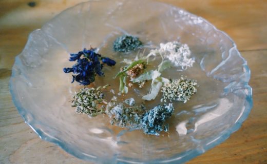 日本人はのどを酷使しているって本当？粘膜を守るハーブティーの効果・効能と生命力を信じる力